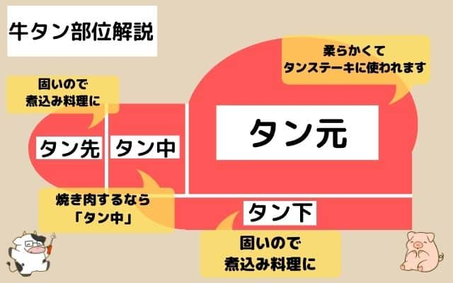 牛タンブロックの部位を解説