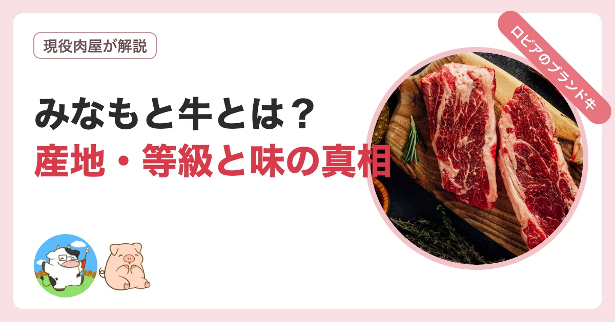 みなもと牛とは?ロピアの牛肉の産地・等級と味の真相を解説